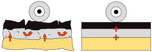 empirikus_analitikus